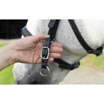 Runa Combi Sidepull Or Bitted Bridle & Reins